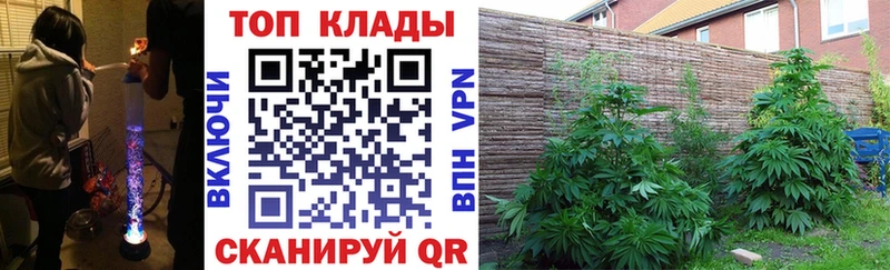 Купить наркотики сайты Вичуга Альфа ПВП Кокаин ГАШ Мефедрон Марихуана