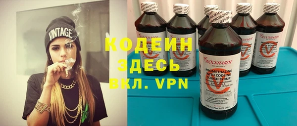 СК Бородино