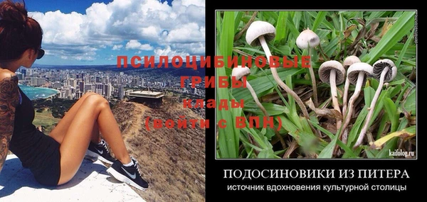 бошки Бугульма