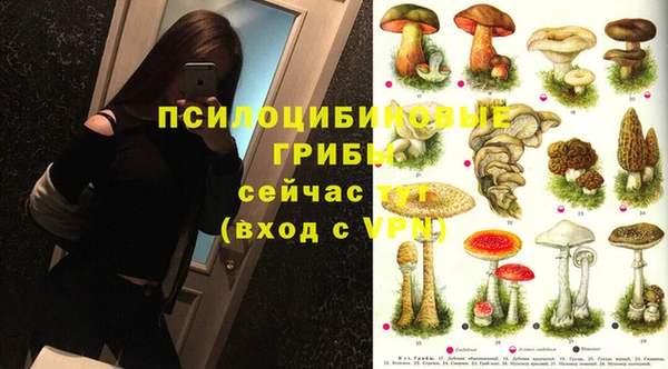 СК Бородино