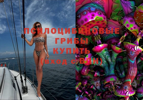 дмт Бронницы