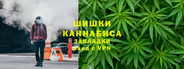 СК Бородино