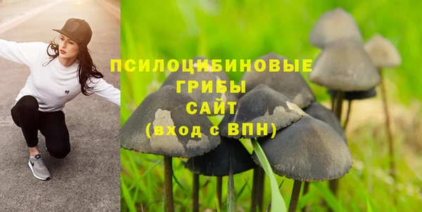 СК Бородино