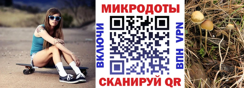 Галлюциногенные грибы Psilocybine cubensis  MEGA ссылка  Вичуга 